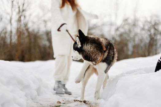 young woman with husky winter landscape walk friendship fresh air. High quality photo