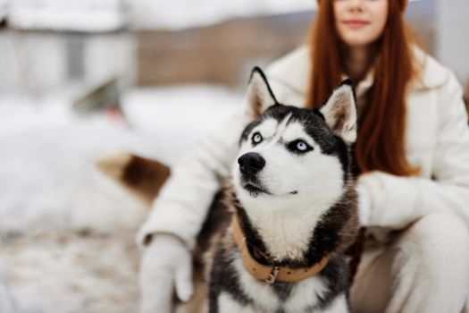 young woman with husky winter landscape walk friendship fresh air. High quality photo