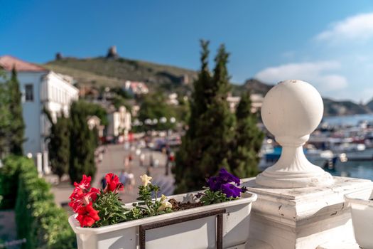 A beautiful view through the bright flowers of petunias to the sea bay with yachts. Turquoise sea against the backdrop of mountains and a clear blue sky