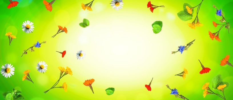 Background of spring flowers for card for the holiday.
