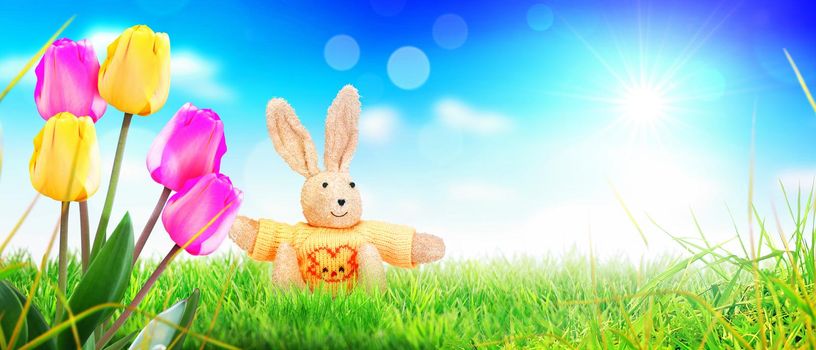 Easter composition with rabbit. Festive decoration. Happy Easter.