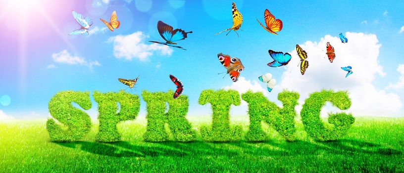Decorative inscription with letters. Creative spring concept.