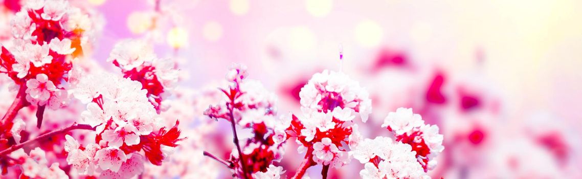 Beautiful nature scene with blooming flowers tree.