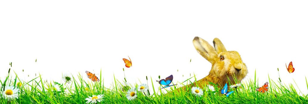 Easter composition with rabbit. Festive decoration. Happy Easter.