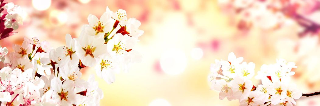 Beautiful nature scene with blooming flowers tree.