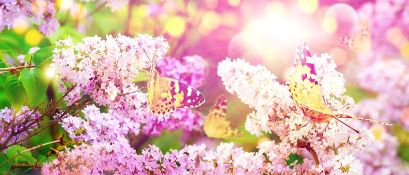 Beautiful nature scene with blooming flowers tree.