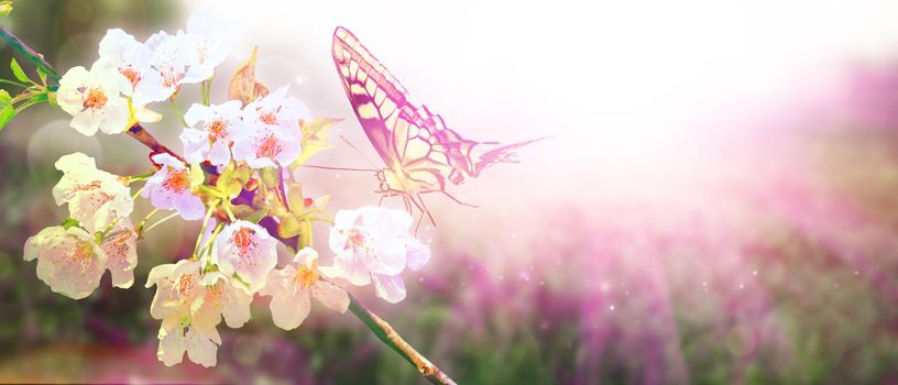 Beautiful nature scene with blooming flowers tree.