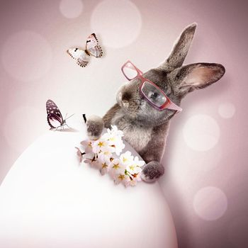 Easter composition with rabbit. Festive decoration. Happy Easter.