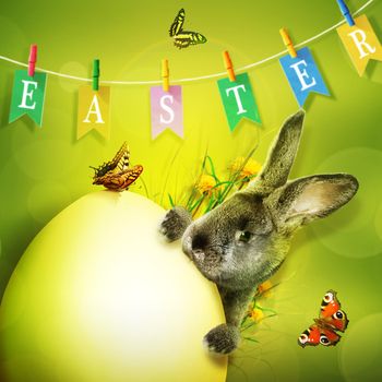 Easter composition with rabbit. Festive decoration. Happy Easter.