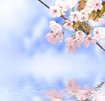 Spring banner background with copy space.
