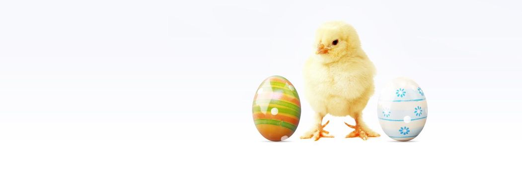 An Easter decoration with Chicken. Easter holiday concept with cute chick.