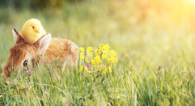 Easter composition with rabbit. Festive decoration. Happy Easter.
