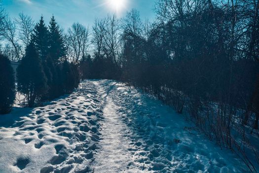 In the morning sunlighton a frosty, people managed to tread a path through the fresh snow that fell at night