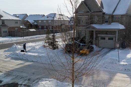 In the morning on a frosty, sunny day, a man took his pet for a walk along a  path of crisp snow 