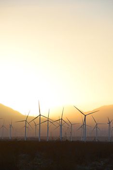 wind mill farm in california desert