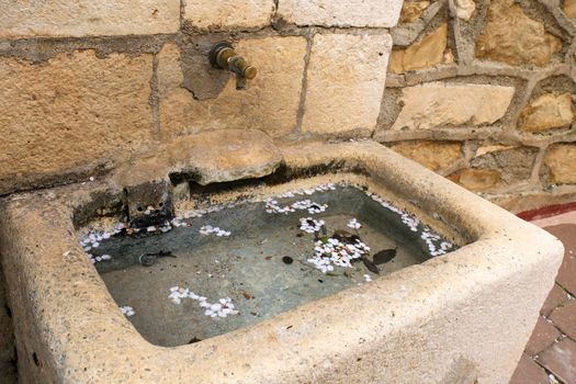 Stone fountain of fresh water with almond flower petals in Benifato village, Alicante, Spain
