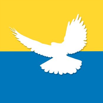 white dove on the background of the flag of Ukraine. close-up.