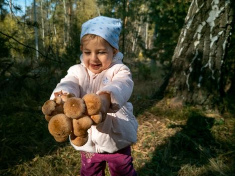 portrait of child collecting honey mushrooms in the autumn forest. close-up. toddler holds beautiful edible mushrooms in hands