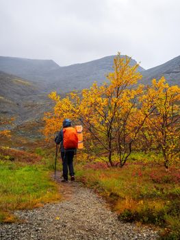 A woman with a backpack in the autumn season walks along a path in the mountains on a rainy day. photo