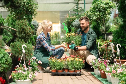 Gardeners working with plants in garden center