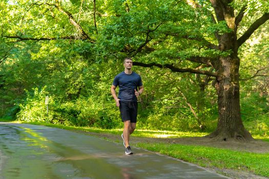 A man athlete runs in the park outdoors, around the forest, oak trees green grass young enduring athletic athlete healthy exercise, fitness trail training legs male, woods outside. Summer leisure running, runners stretches