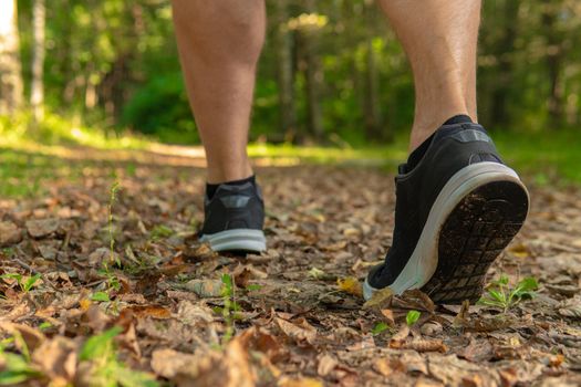 Legs in sneakers close up athlete runs in the park outdoors, around the forest, oak trees green grass young enduring athletic athlete run sport nature, lifestyle jogger person marathon, trees Adult energy cross, runners stretches