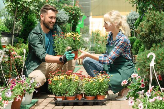 Gardeners working with plants in garden center