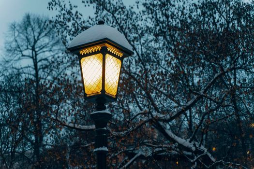 Lights at night on the streets of a snow-covered city in winter.