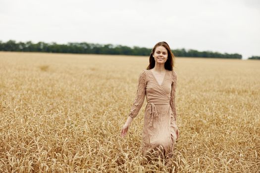 touching golden wheat field the farmer concerned the ripening of wheat ears in early summer harvest. High quality photo