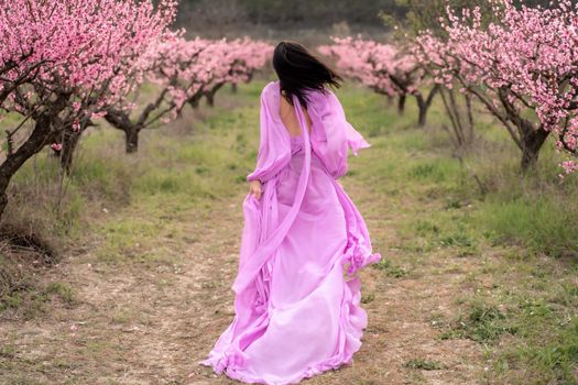 A woman in a long pink dress walks in the park, in a peach orchard. Large blooming peach orchard