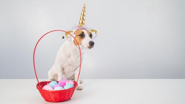 Cute jack russell terrier dog in a unicorn headband next to a basket with painted easter eggs on a white background
