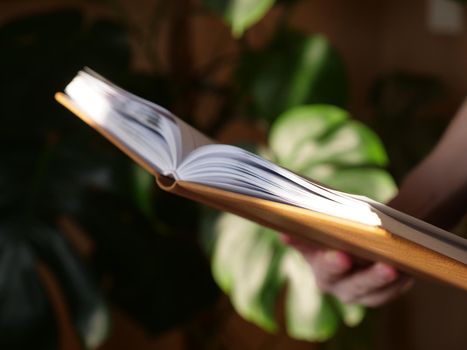 Book in hands close up in daylight. The person is reading an interesting book