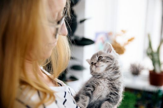 A woman in a striped blouse holds in her arms a beautiful little young kitten of the Scottish Straight breed at home on the balcony in self-isolation. The kitten look with an interested look at plants