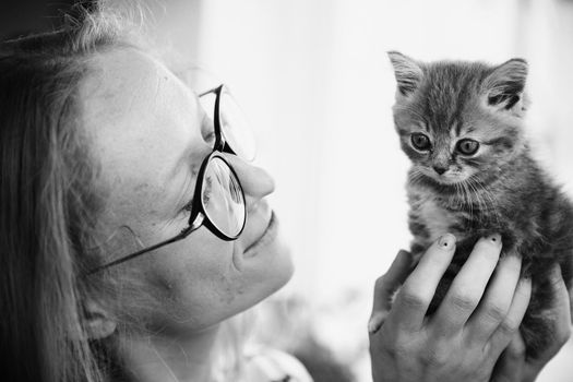 A woman in a striped blouse and glasses looks and holds a beautiful little kitten of the Scottish Street breed at home. The kitten looks up with an interested look. Black and white photo