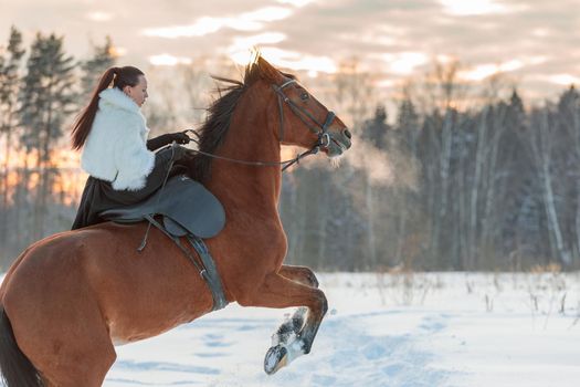 A girl in a white cloak rides a brown horse in winter. Golden hour, setting sun.