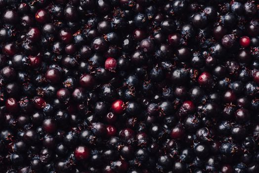 Background of Purple Amelanchier Lamarckii Fruits. View from Above