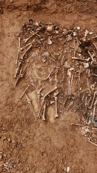 Archaeological excavations at the crime scene, Human remains in the ground. War crime scene. Site of a mass shooting of people. Human remains - bones of skeleton, skulls.