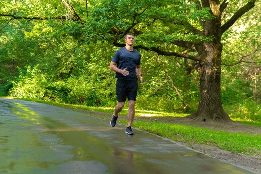 A man athlete runs in the park outdoors, around the forest, oak trees green grass young enduring athletic athlete sport outdoor endurance jog, jogging Autumn spring, distance stretches