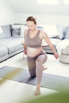 Young beautiful pregnant woman training pilates at home in her living room. Healthy lifestyle and active pregnancy and motherhood concept