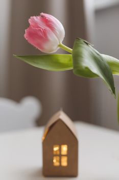 spring still life with fresh pink tulips, home decor