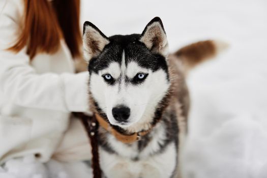 young woman with husky on the snow walk play rest Lifestyle. High quality photo