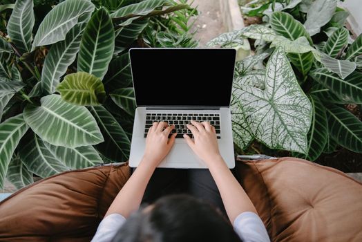 Creative Freelancer Woman Using Laptop in Cafe With Houseplant, Business Woman Online Working on Computer Laptop While Sitting Indoors Cafe. Nature Green Plant Relaxing Space and Leisure Lifestyles.