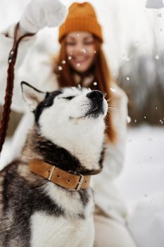 young woman with husky on the snow walk play rest Lifestyle. High quality photo