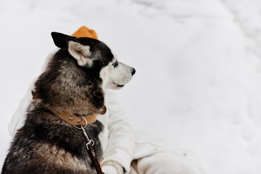 young woman in the snow playing with a dog fun friendship Lifestyle. High quality photo