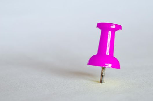 Pink push pin. Closeup photography of pink thumbtack.