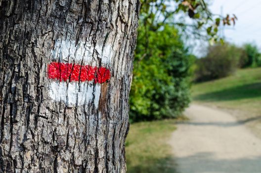 Red tourist sign on a tree. Detail of touristic marking on hiking trails. Marks painted on the tree trunk.