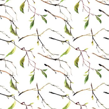 Watercolor seamless pattern with tree branches and green leaves on white background