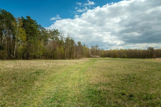 Path through meadow, forest and cloud on the sky, spring view, Czulczyce, Poland