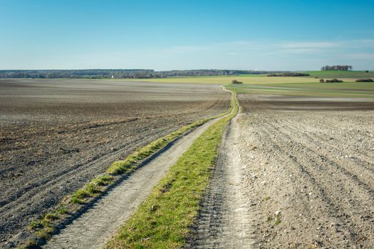 A long dirt road through a plowed field, Staw, Lubelskie, Poland