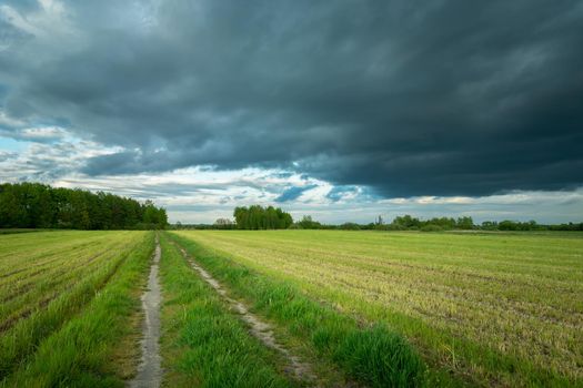 Road through stubble and cloudy sky, spring landscape, Nowiny, Poland